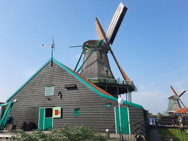 20240918_145114zaandijk_z
