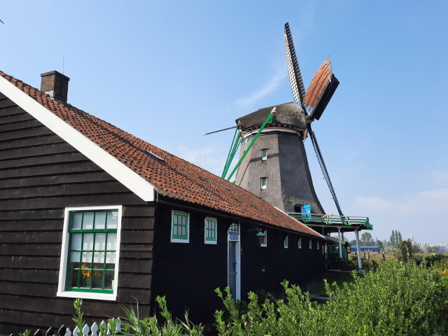 20240918_145231zaandijk_z
