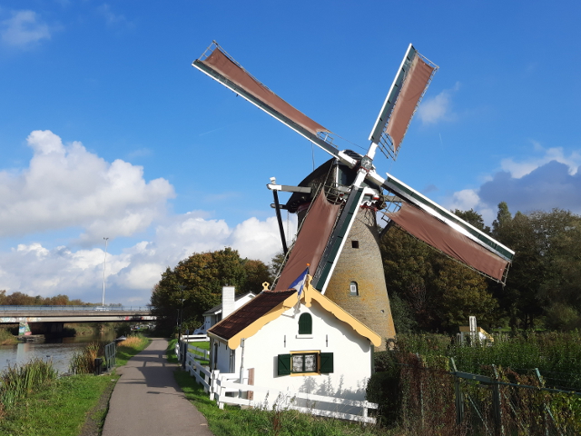 20241023_145052maassluis_z