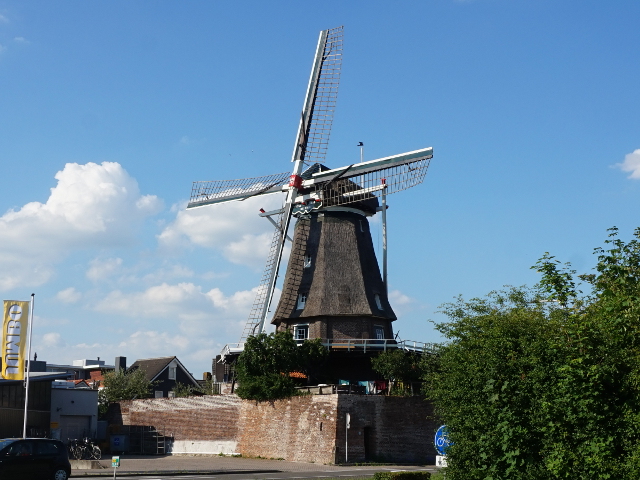 DSC05308montfoort_z
