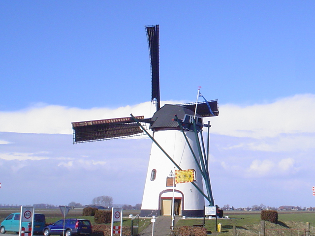 DSC05917meeuwen_z