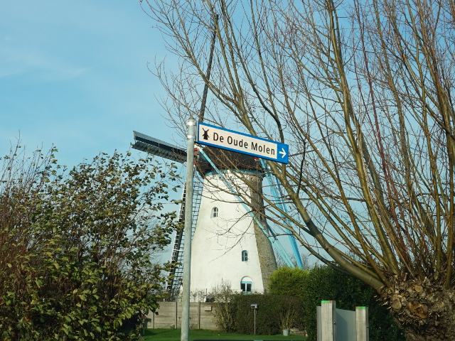 DSC08563colijnsplaat_z