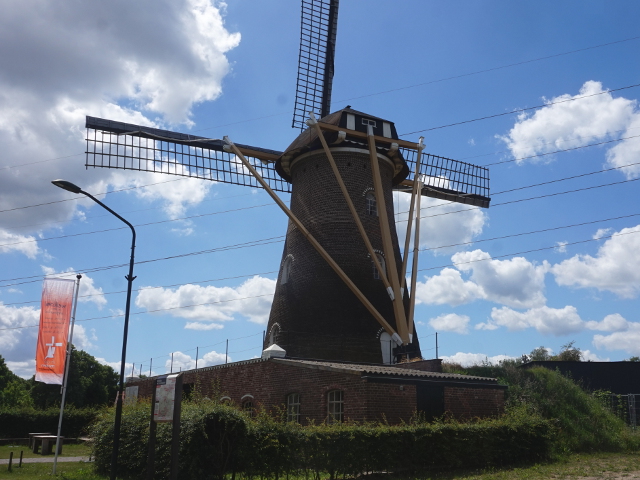 DSC08706eerde_z
