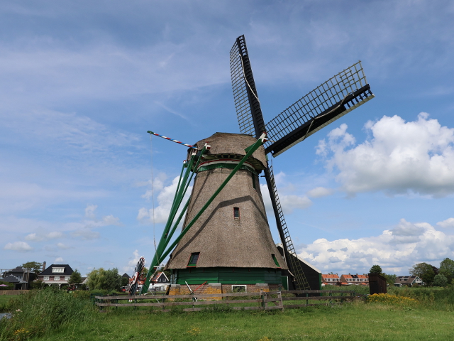 IMG_2361wormer_z