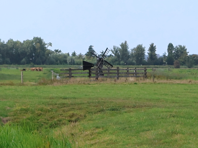 IMG_3698spaarnwoude_z