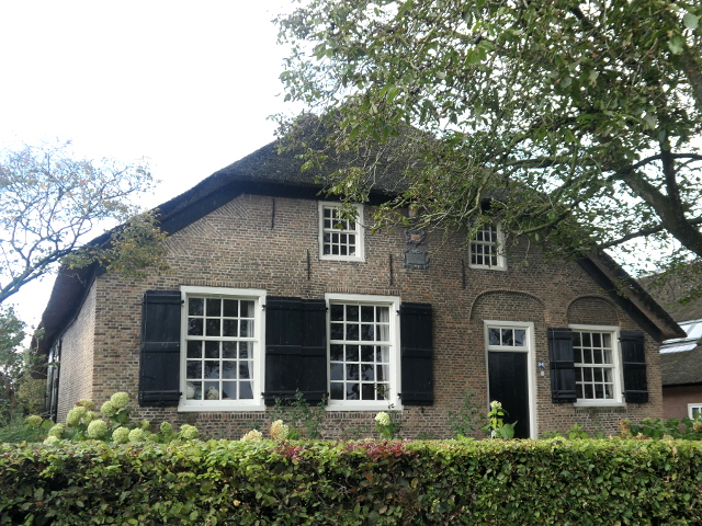 P1310290waspik_z