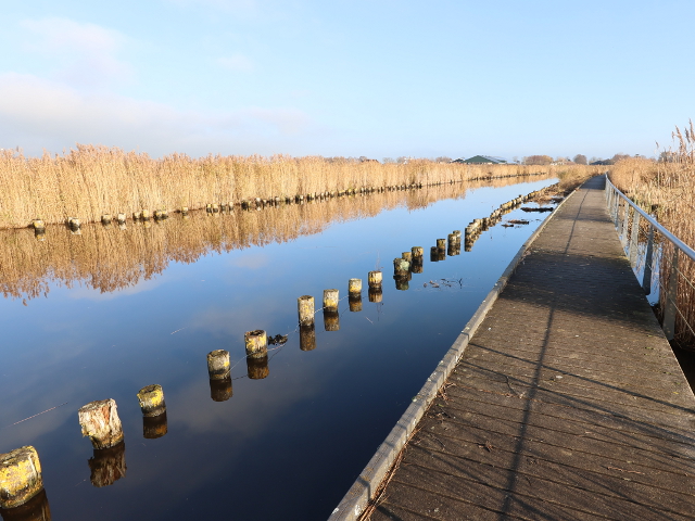 IMG_6909landsmeer_z