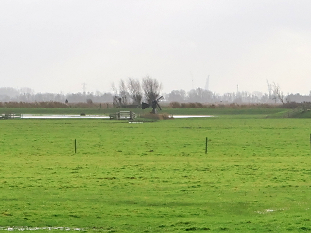 IMG_7544akersloot_z