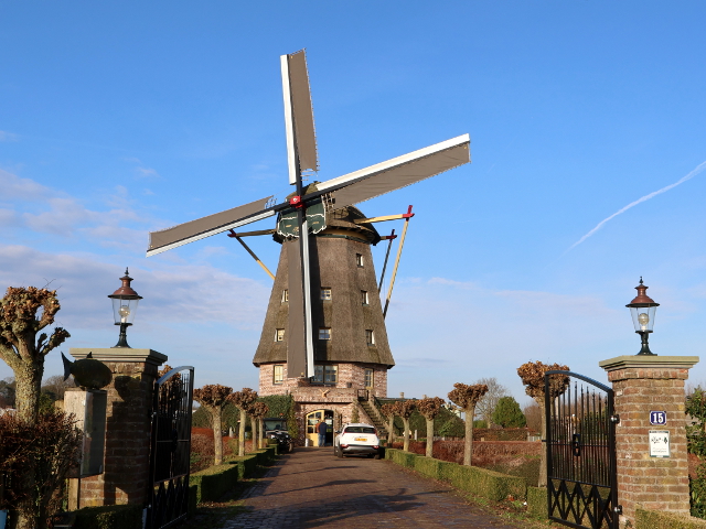IMG_7902blitterswijck_z