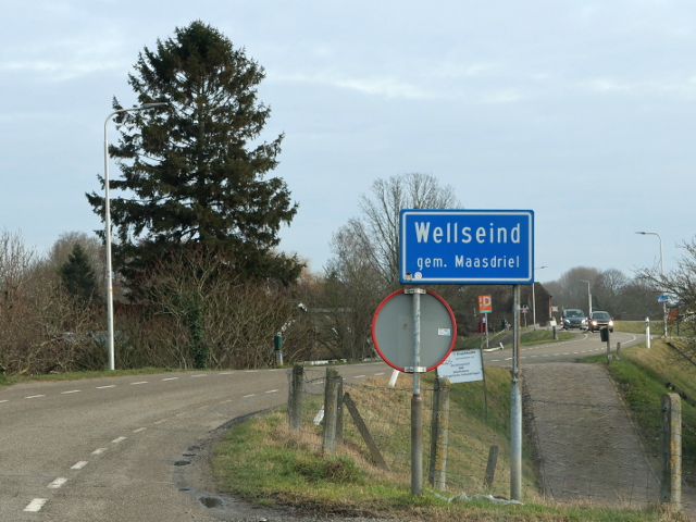 IMG_8911wellseind_b