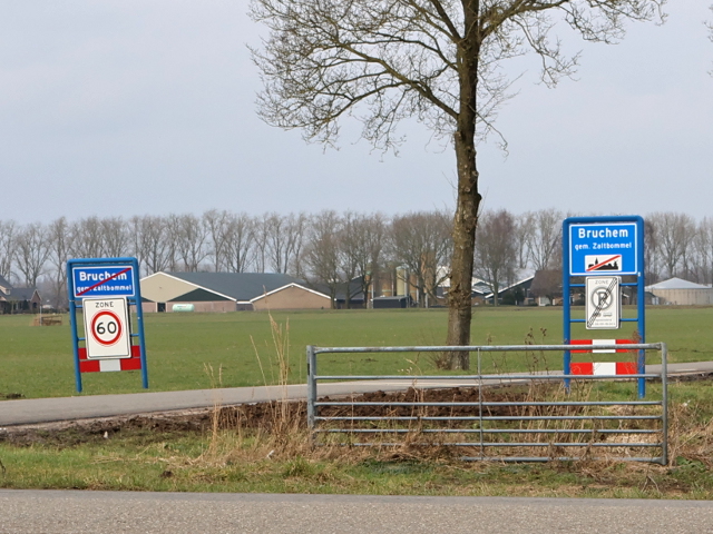 IMG_8931bruchem_ee