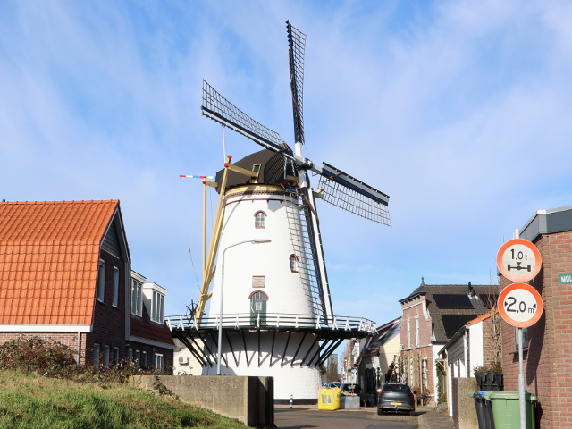 IMG_9004stellendam_z