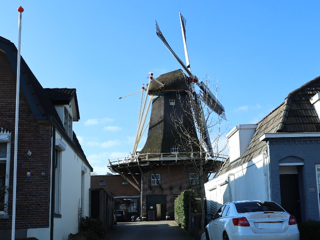 IMG_9170veenendaal_z