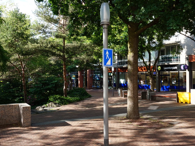 DSC00201raretrapzoetermeer
