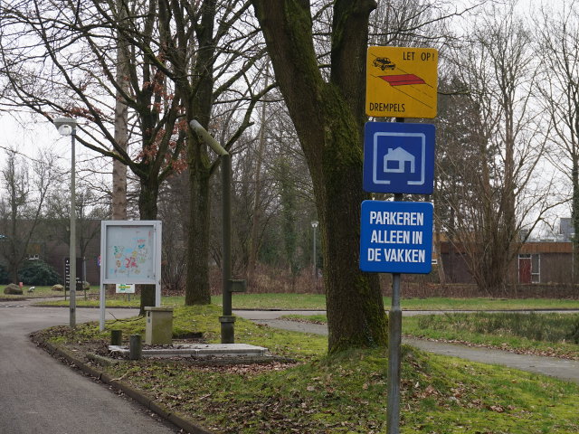 DSC02498woonerfsappemeer