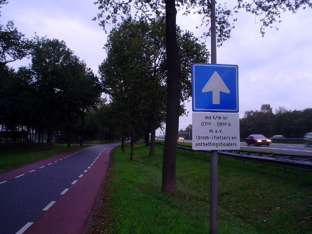 DSC08324staphorsteenr