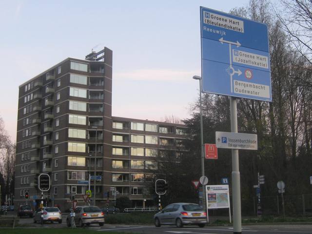 goudaweizer
