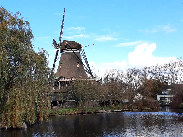 20241117_121031leiden_z
