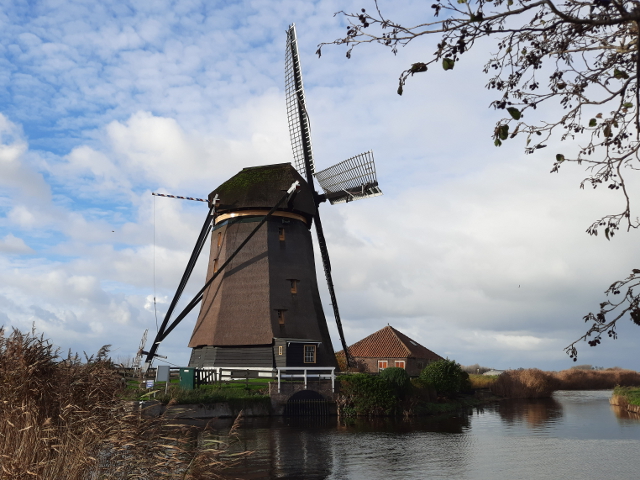 20241117_142506hazerswoudedorp_z