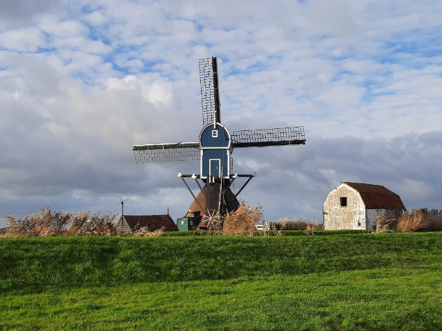 20241117_144205hazerswoudedorp_z