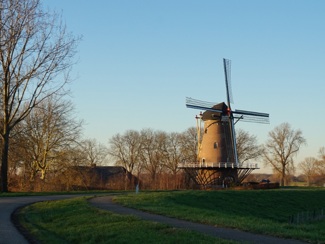 DSC07123dieden_z