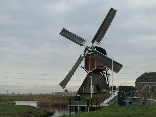 P1330011hoogmade_z