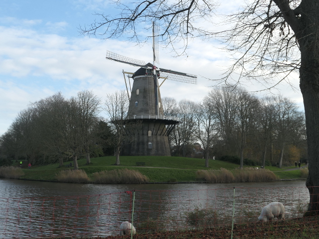 P1330074middelburg_z