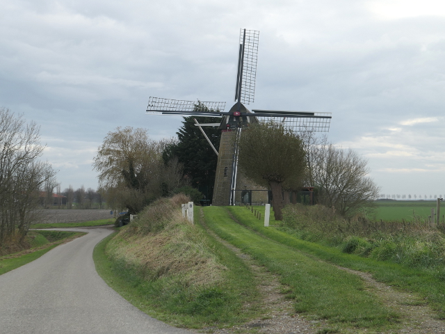 P1330116wissenkerke_z
