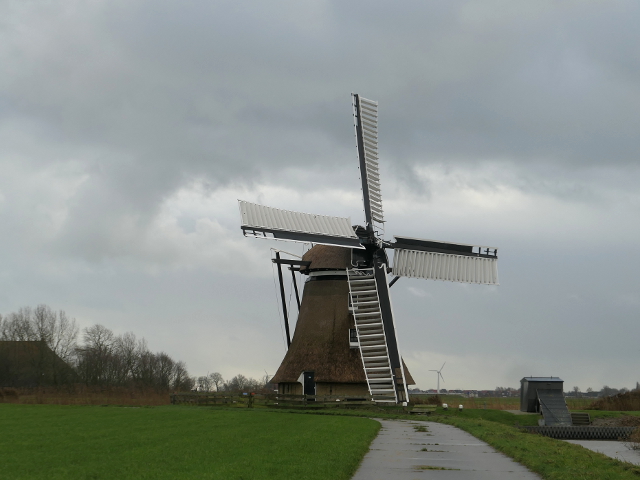 P1330167cornwerd_z