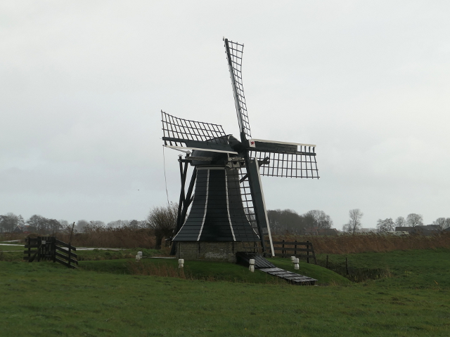 P1330176workum_z