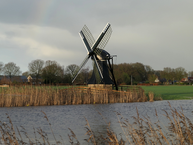 P1330218mildam_z