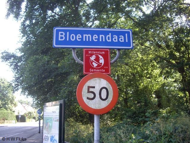 bloemendaalIMGP5949