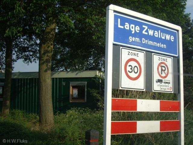 lagezwaluweIMGP5051