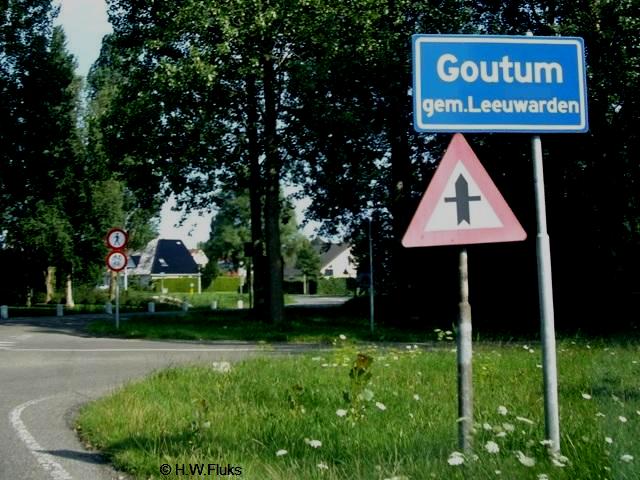 goutumIMGP7827