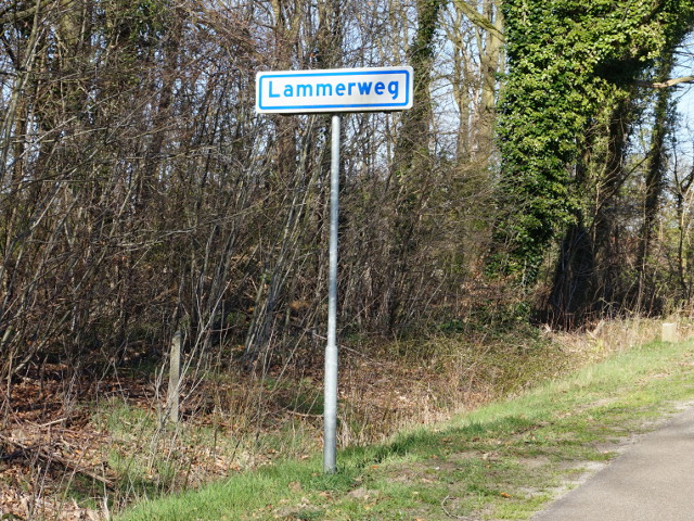 DSC08601lammerweg_w