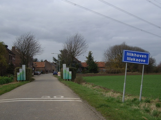 IMGP0460