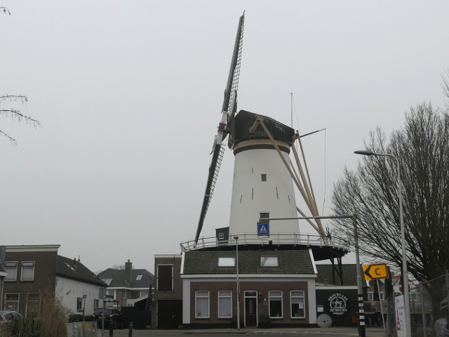 P1340240bodegraven_z