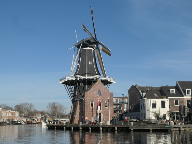 P1340393haarlem_z