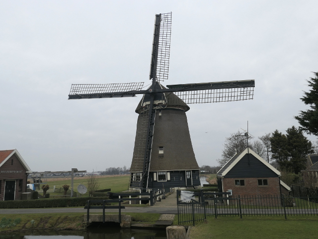 P1340579nieuweniedorp_z