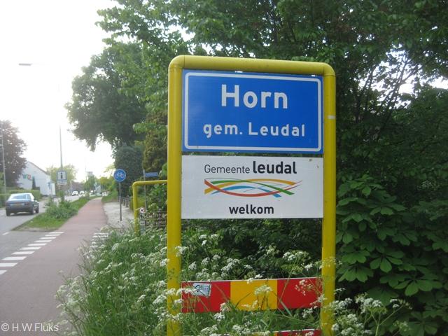 horn0118