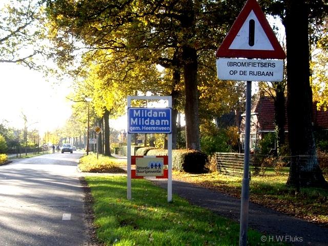 mildamIMGP0326
