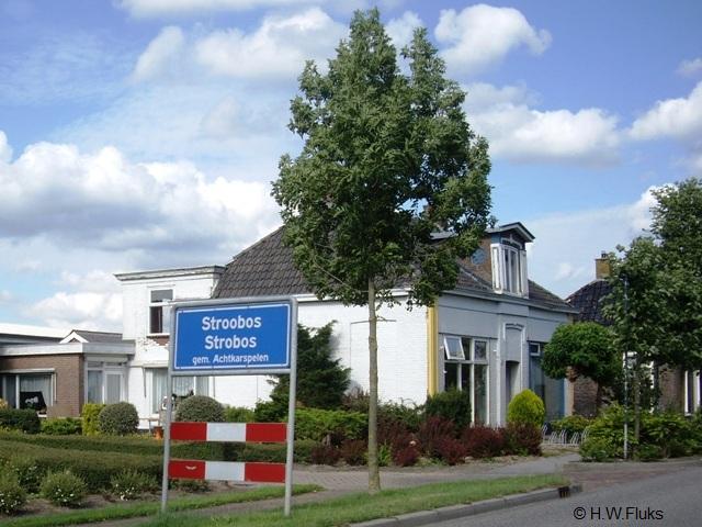 stroobosIMGP7424