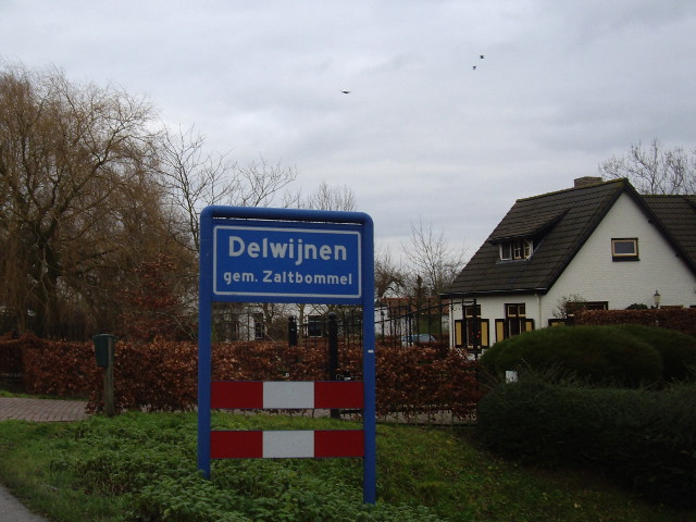 IMGP0748