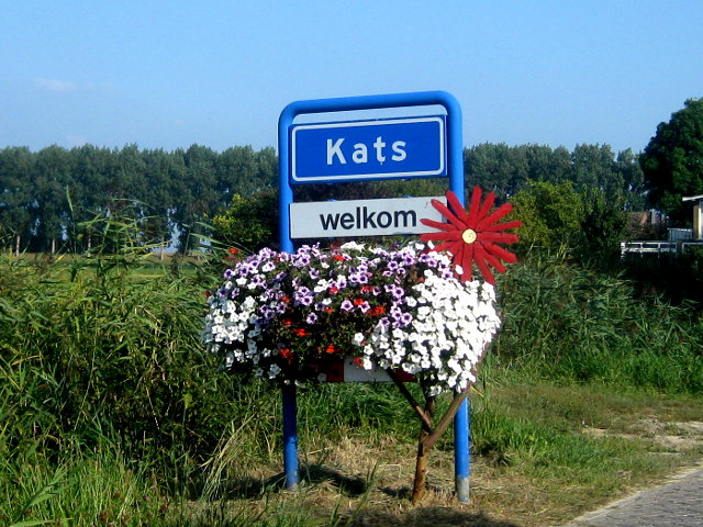 IMG_1972kats