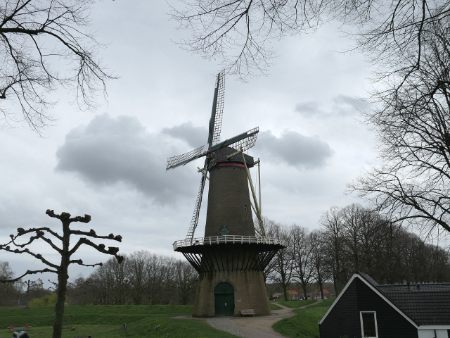 P1010038hulst_z