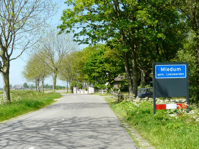P1060278miedum