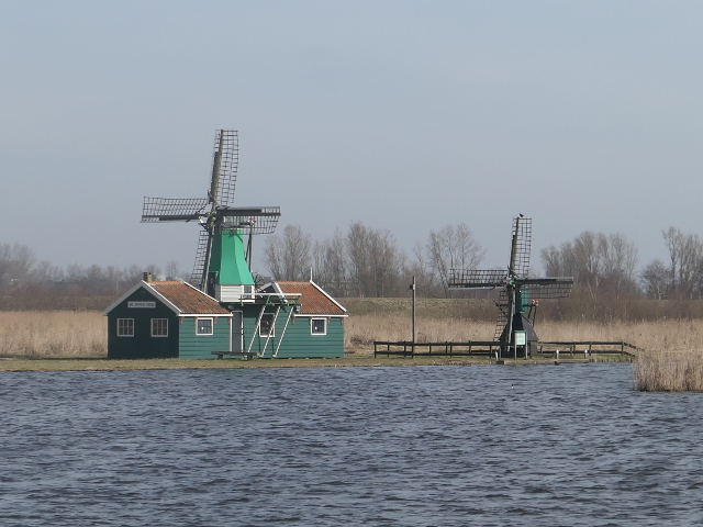 P1350173westzaan_z
