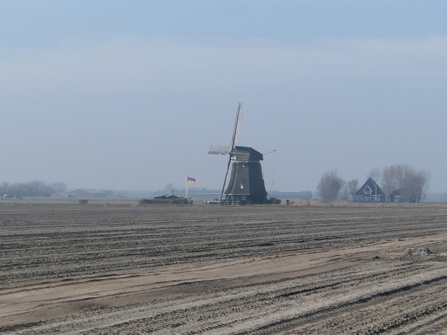 P1350224tzand_z