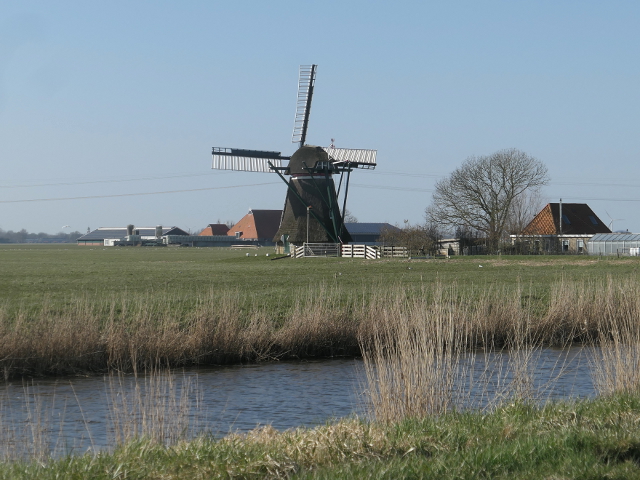 P1350314witmarsum_z