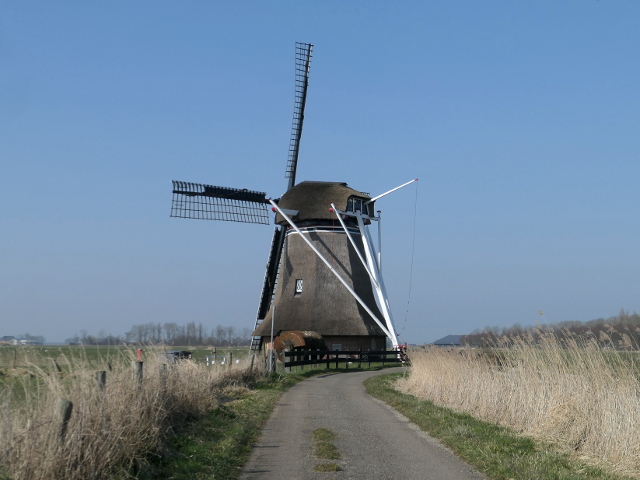 P1350387hantum_z